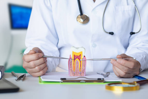 Best Mobile Emergency Dentist in Goodman, MO